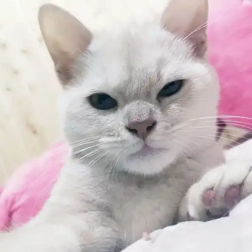 第281期
