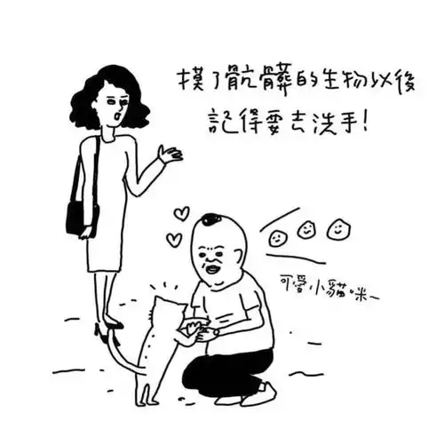 今日搞笑我感觉看到了猫得意的笑
