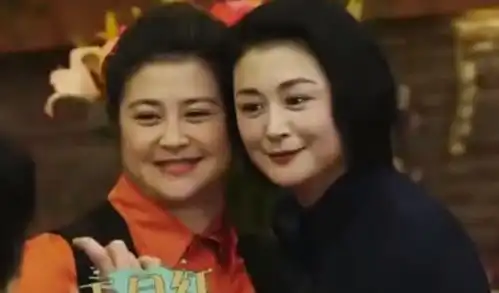 于月仙跟母亲说过最硬的话你的养老送终我包了,父亲躺怀里离世
