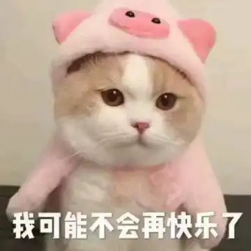 有关不搭理它的表情包想