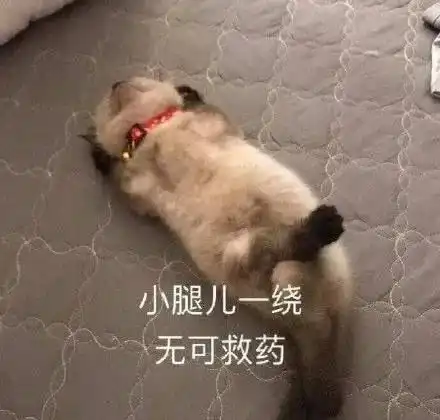 易胖体质是种什么体验头像
