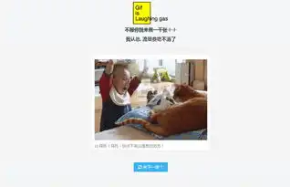 iguooo搞笑gif动态随机看
