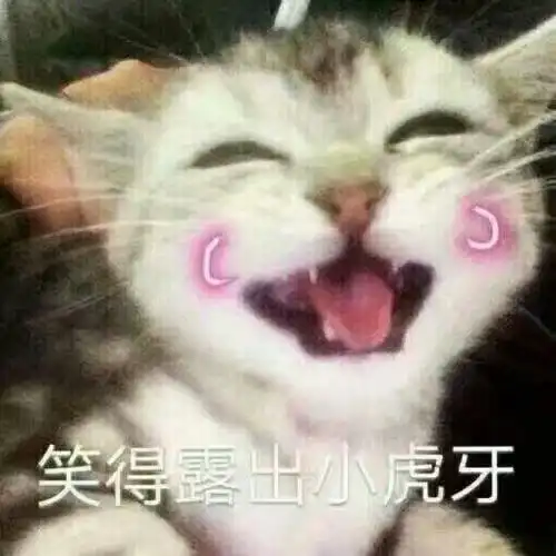 既沙雕又搞怪的文案
