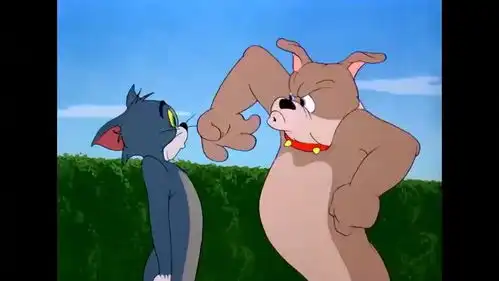 猫和老鼠超搞笑合集
