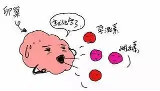 育龄女性卵巢储备功能差该如何改善
