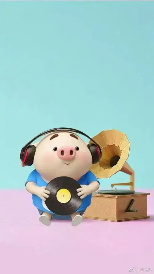 我的2018年

