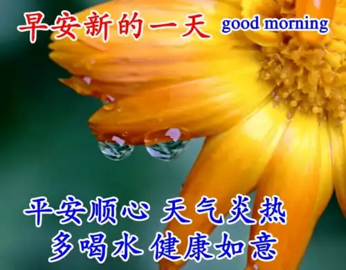 早上好图片大全最美图集,早上好祝福语短句子
