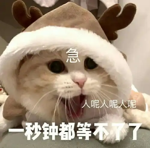 有哪些自己收藏了很久的短的句子
