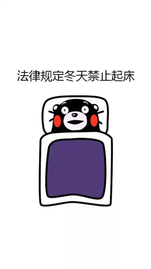 今日壁纸推荐,1228
