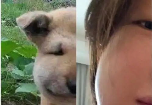 一大早的我被周冬雨baby这张图下的评论逗笑了哈哈哈
