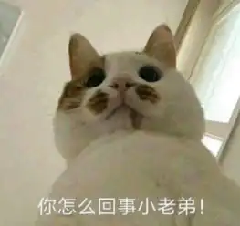 当我送了一张吃鸡膜给男朋友之后,他走路都带风了