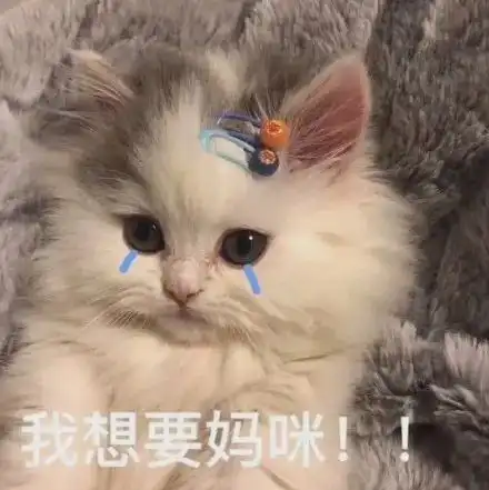 妈宝表情包
