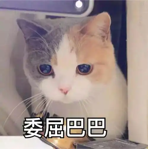 倒数第二用英语怎么说总不能说lastsecond吧
