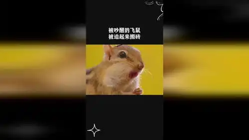 被吵醒的飞鼠被迫起来搬砖
