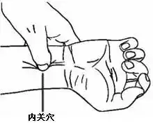 中医穴位基本常识,不看你就亏大了
