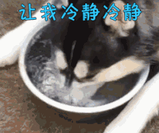 只因内裤和袜子一起放洗衣机洗,合租的大姐要把我赶出去