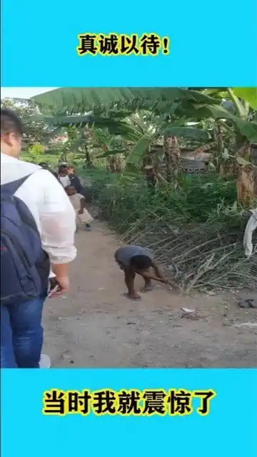 这绝对是全村最勤劳的小朋友了
