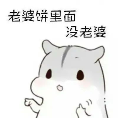 小仓鼠表情包搞笑头像图片萌萌哒有什么不懂的就吻我
