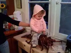 笑话图片笑话图片大全爆笑笑话图片别逗了
