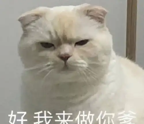 嘴巴这么贱,他是靠什么在贵圈里混出头的啊
