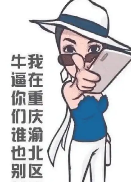 表情重庆保时捷女司机打人后被网友恶搞做成表情包表情
