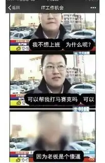 你见到过哪些神一样的图片配文
