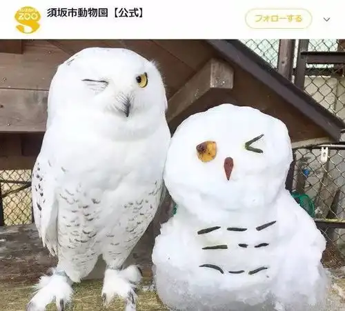 你们是猴子派来搞笑的吗爆笑囧图
