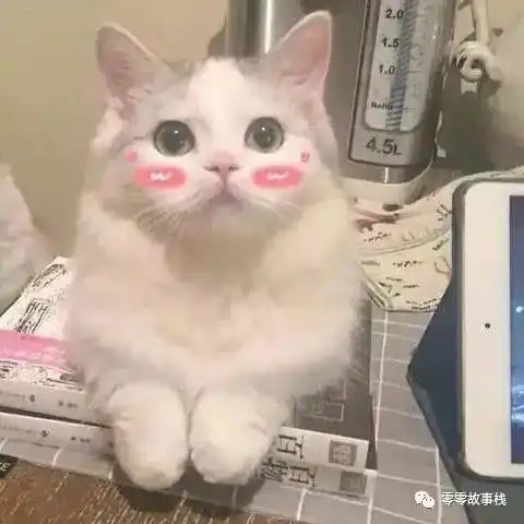 哔哩哔哩专栏
