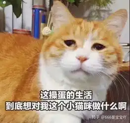 你的孩子做过最糟糕的事情是什么
