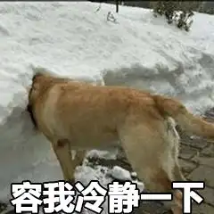 出行套票挑花了眼哪家的不限次乘机更实惠
