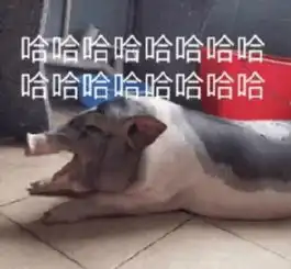 搞笑图片幽默段子健身教练告诉我吃这个体型好
