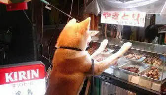 搞笑图片麻麻我都看见了
