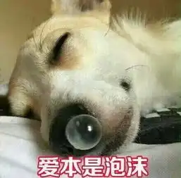 狗狗搞笑表情包
