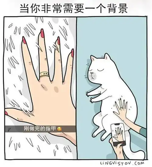 家有喵星人的生活就是这个样子

