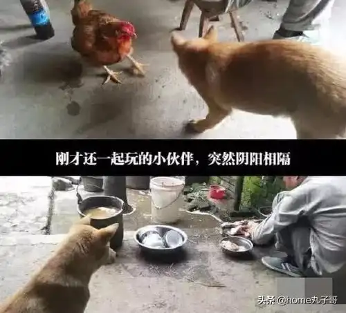 gif搞笑趣图这才是来看房的,真的很认真
