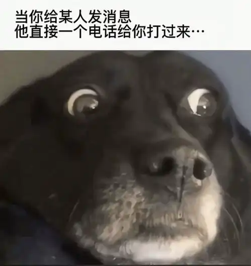 搞笑图集人家真实系列搞笑

