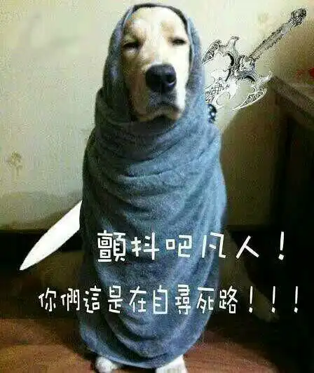 搞笑gif段子大师,发生了什么,你的铁头功怎么不顶用了啊
