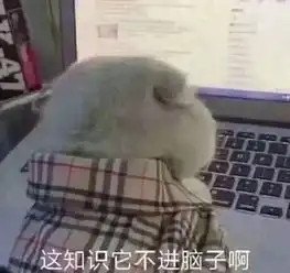 开学多发力,领跑一学期全城0元抢学位

