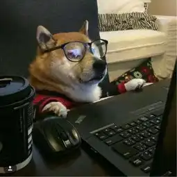 x病名为爱
