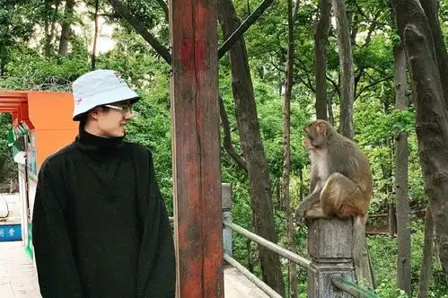 刘昊然和猴子对视怎么回事刘昊然和猴子对视画面曝光太逗了
