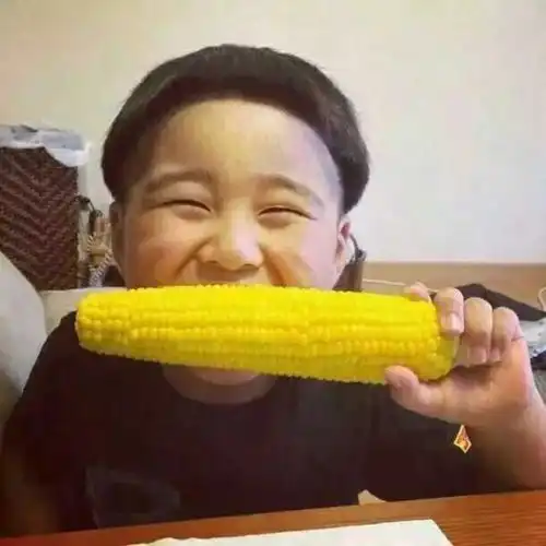 有哪些十分可爱或好看或沙雕的小孩头像
