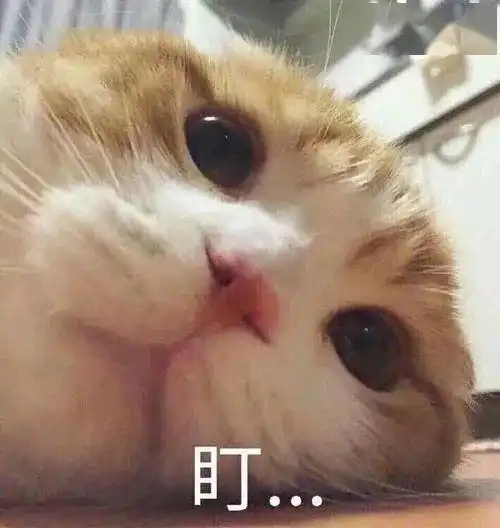 污龙上班表情包预览
