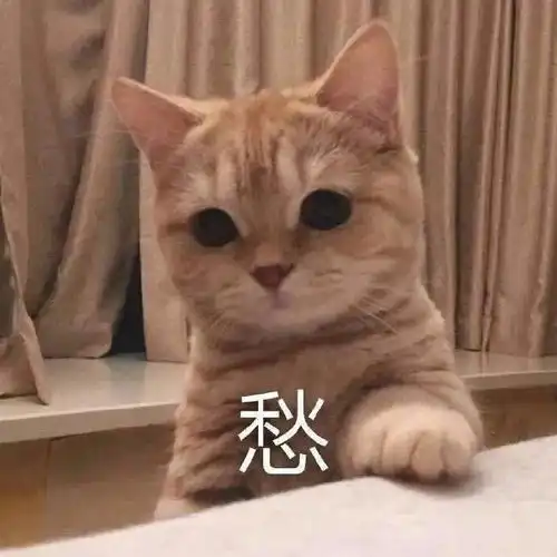 景点预约能取消改期吗有疑问看这里
