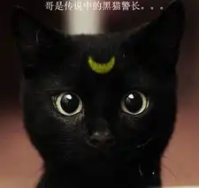 诙谐搞笑的动物幽默图片
