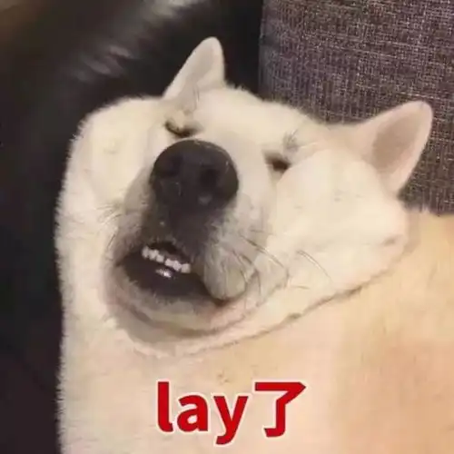 当老师有多难简直笑疯了哈哈哈哈哈哈哈
