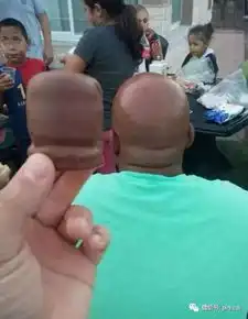 搞笑图片长得好像,莫名的喜感
