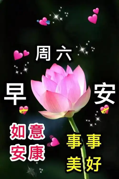 5月31日周六清晨早上好问候表情图片2020最新早安问候语动态图片
