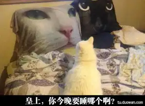 如何把平凡的游戏说得非比寻常
