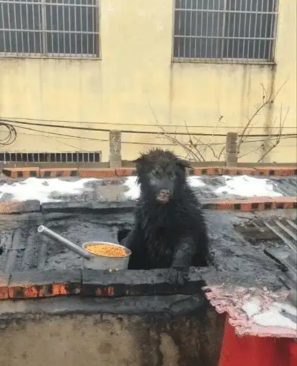 我一直以为这个洞是用来放手指的,直到现在我才发现错了,哈哈哈哈哈哈