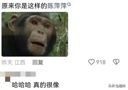 庆余年2的那些爆笑图集哈哈,快被这届网友笑死了
